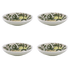 Fruit Pasta Bowls (Set of 4)